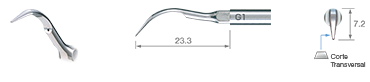 Scaling/G1 -varios