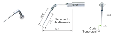 Endodontics/E7D -varios