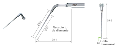 Endodontics/E8D -varios2