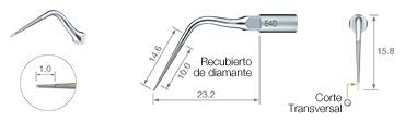 Endodontics/E4D -varios